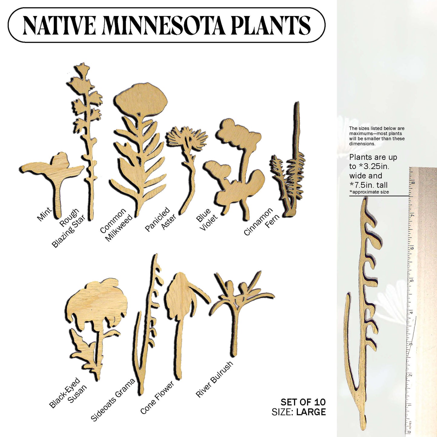 Laser Cut Wooden Minnesota Native Plants