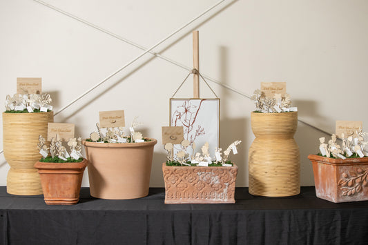 Pick Your Seat Display | Rental
