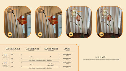 Floral Display | Rental