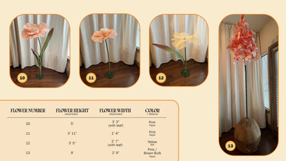 Floral Display | Rental