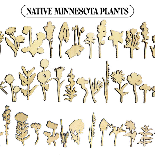 Laser Cut Wooden Minnesota Native Plants