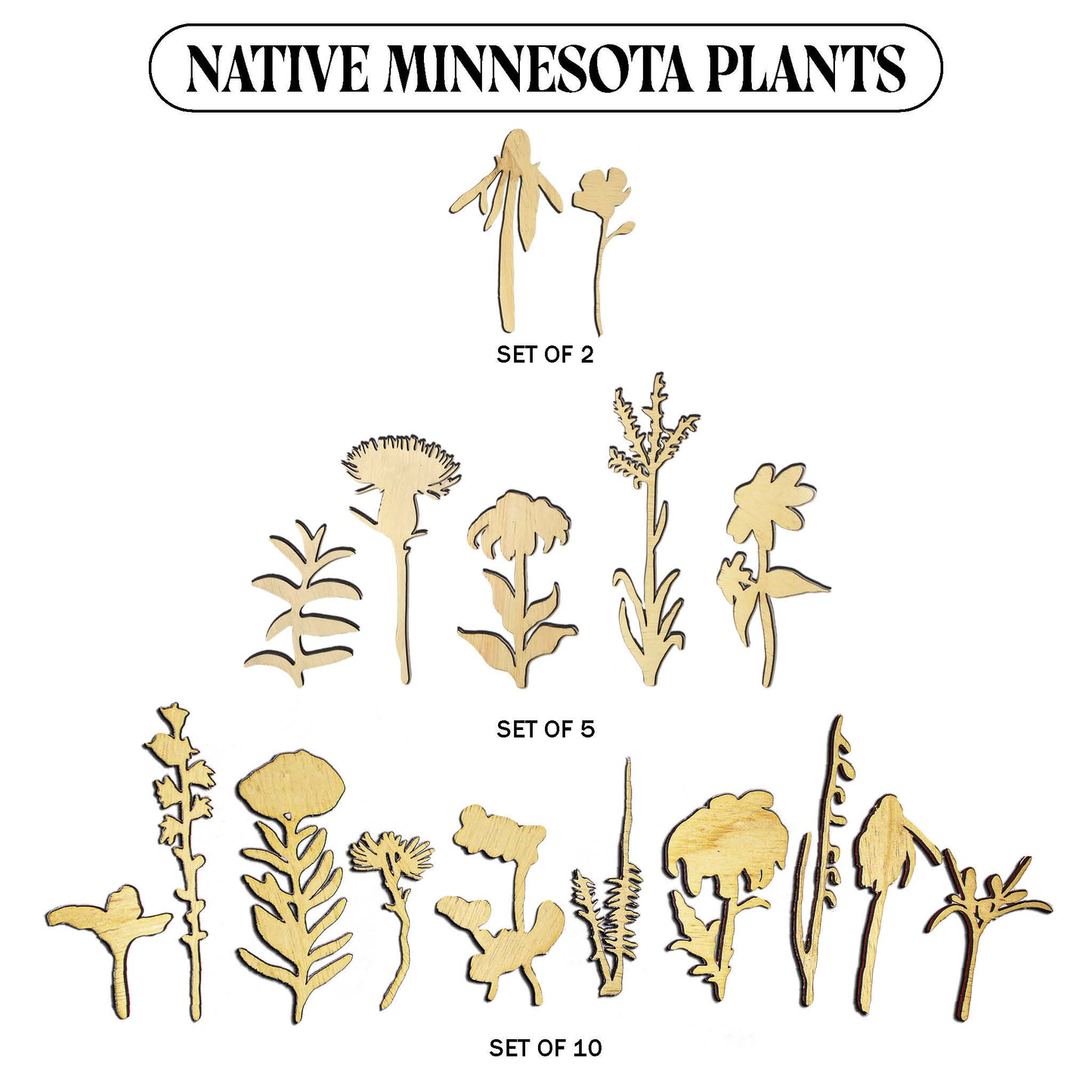 Laser Cut Wooden Minnesota Native Plants
