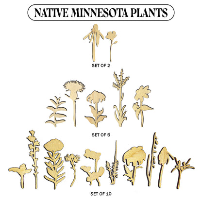 Laser Cut Wooden Minnesota Native Plants