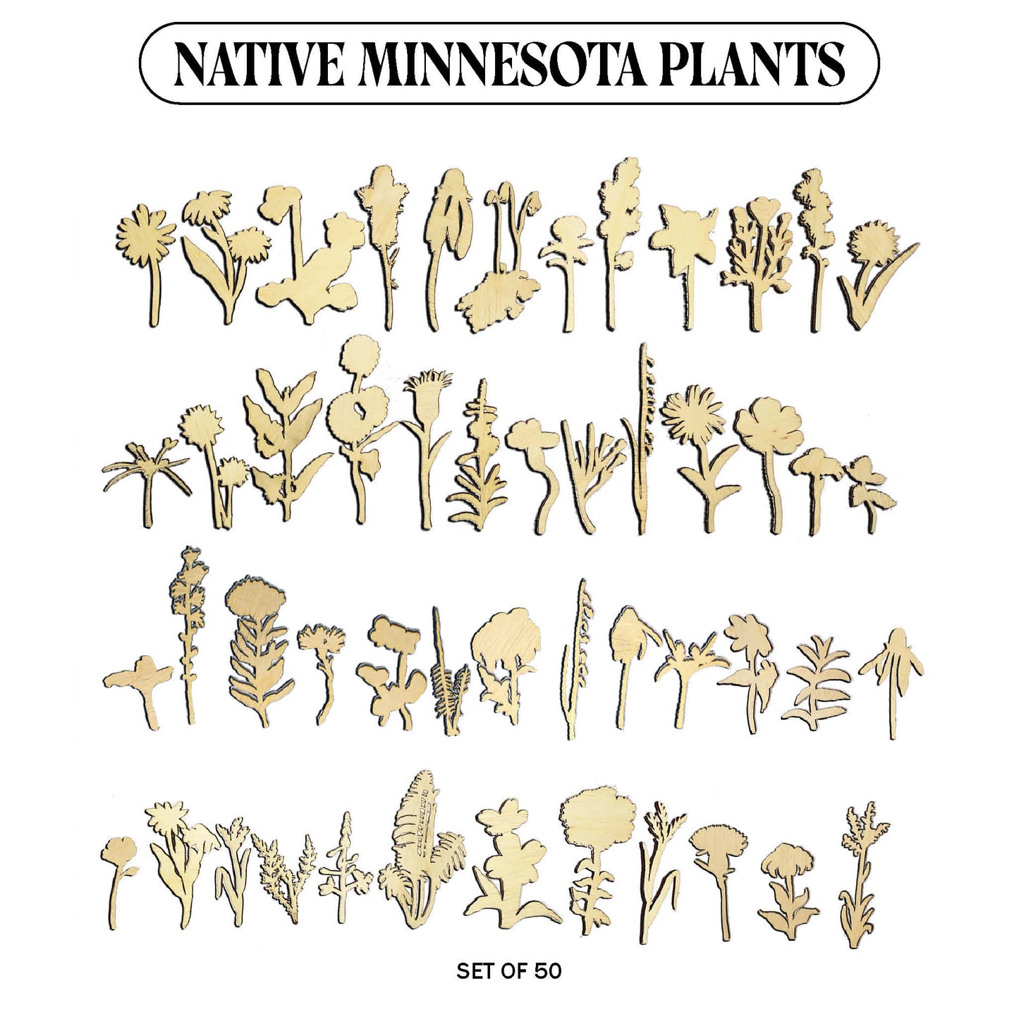Laser Cut Wooden Minnesota Native Plants