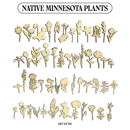 Laser Cut Wooden Minnesota Native Plants