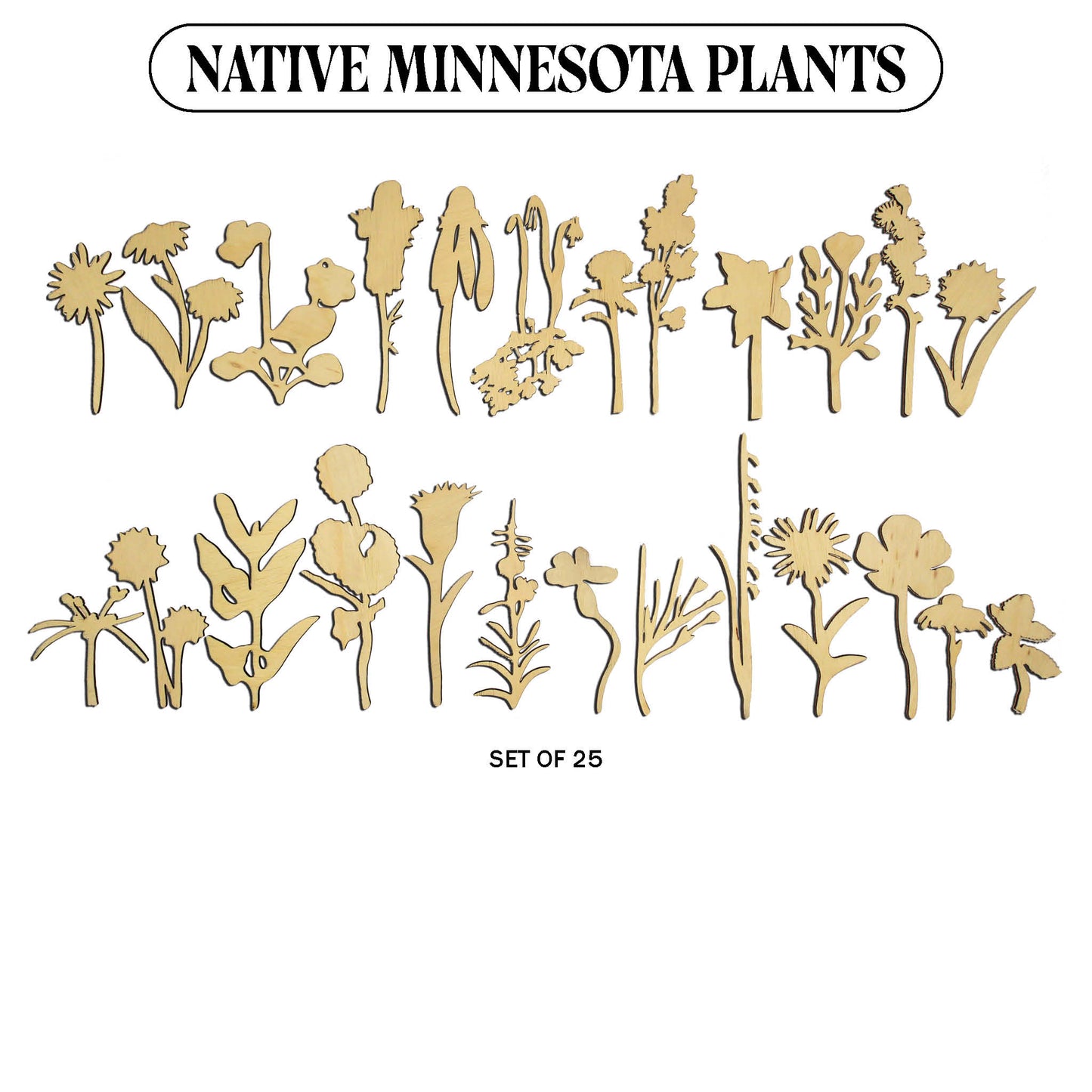 Laser Cut Wooden Minnesota Native Plants