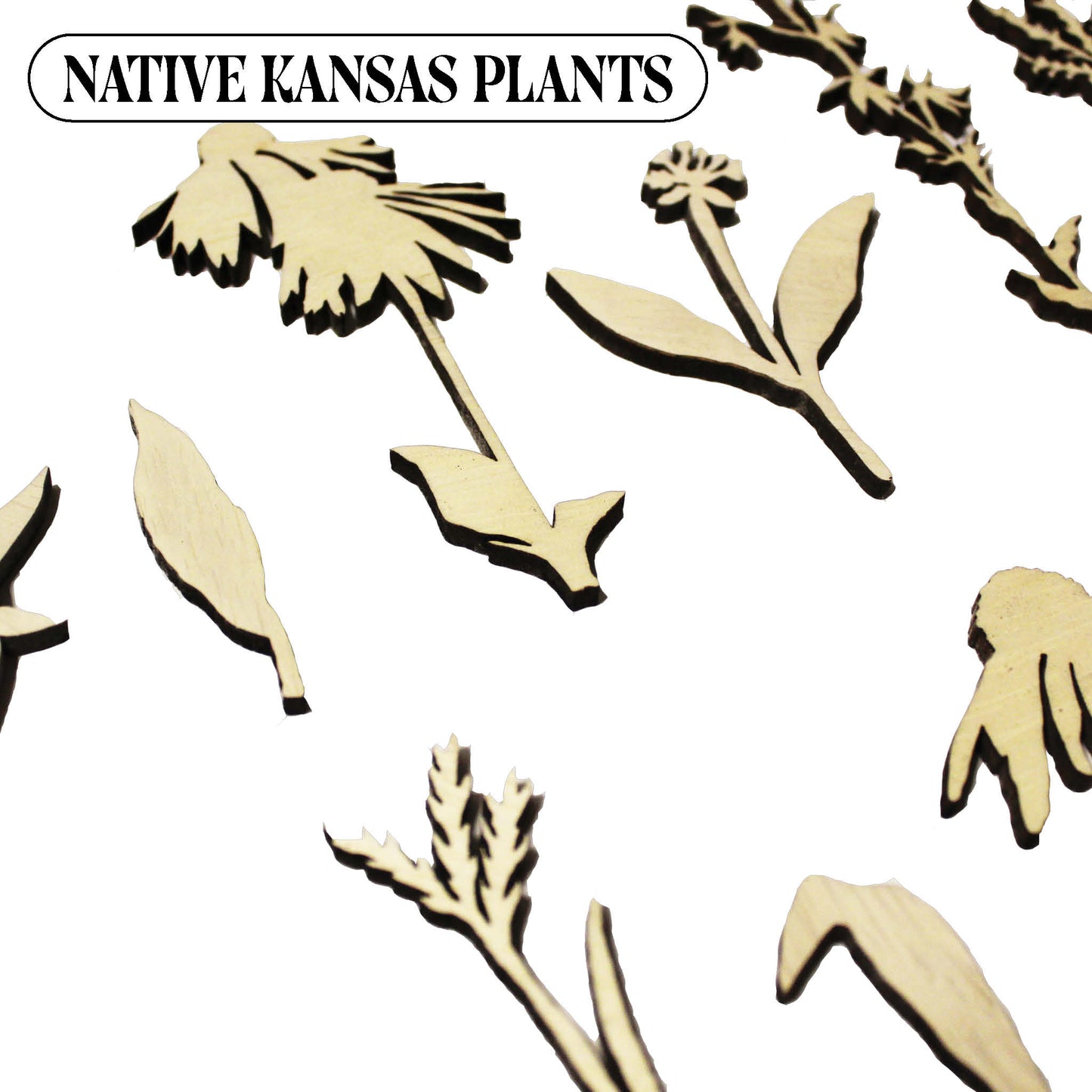 Laser Cut Wooden Kansas Native Plants