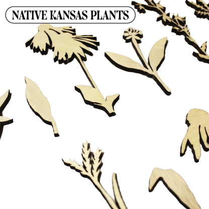 Laser Cut Wooden Kansas Native Plants