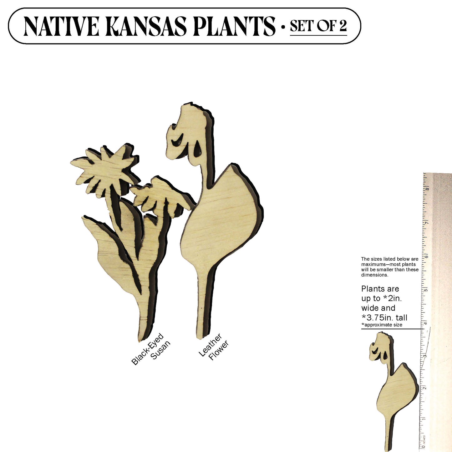 Laser Cut Wooden Kansas Native Plants