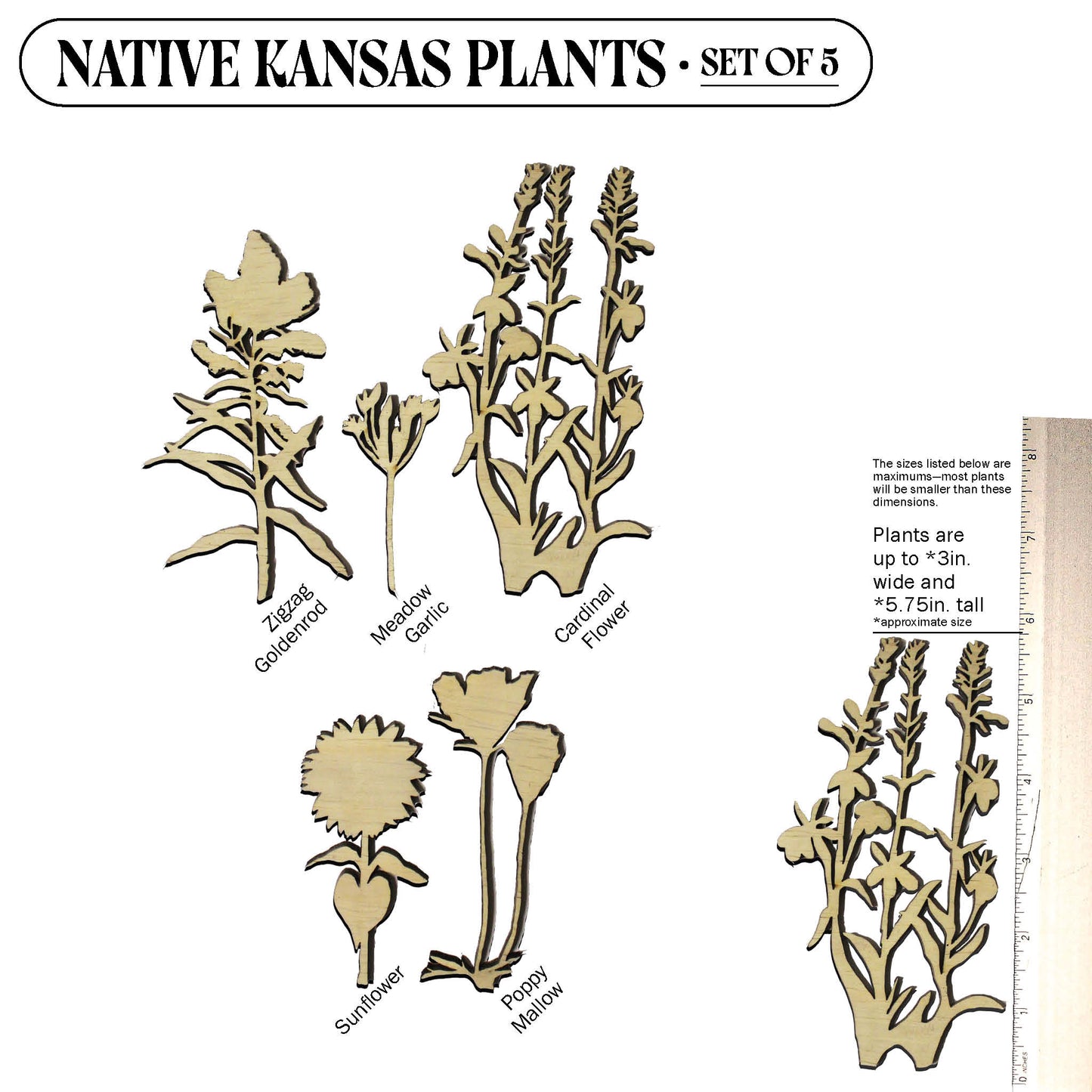 Laser Cut Wooden Kansas Native Plants