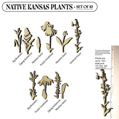 Laser Cut Wooden Kansas Native Plants
