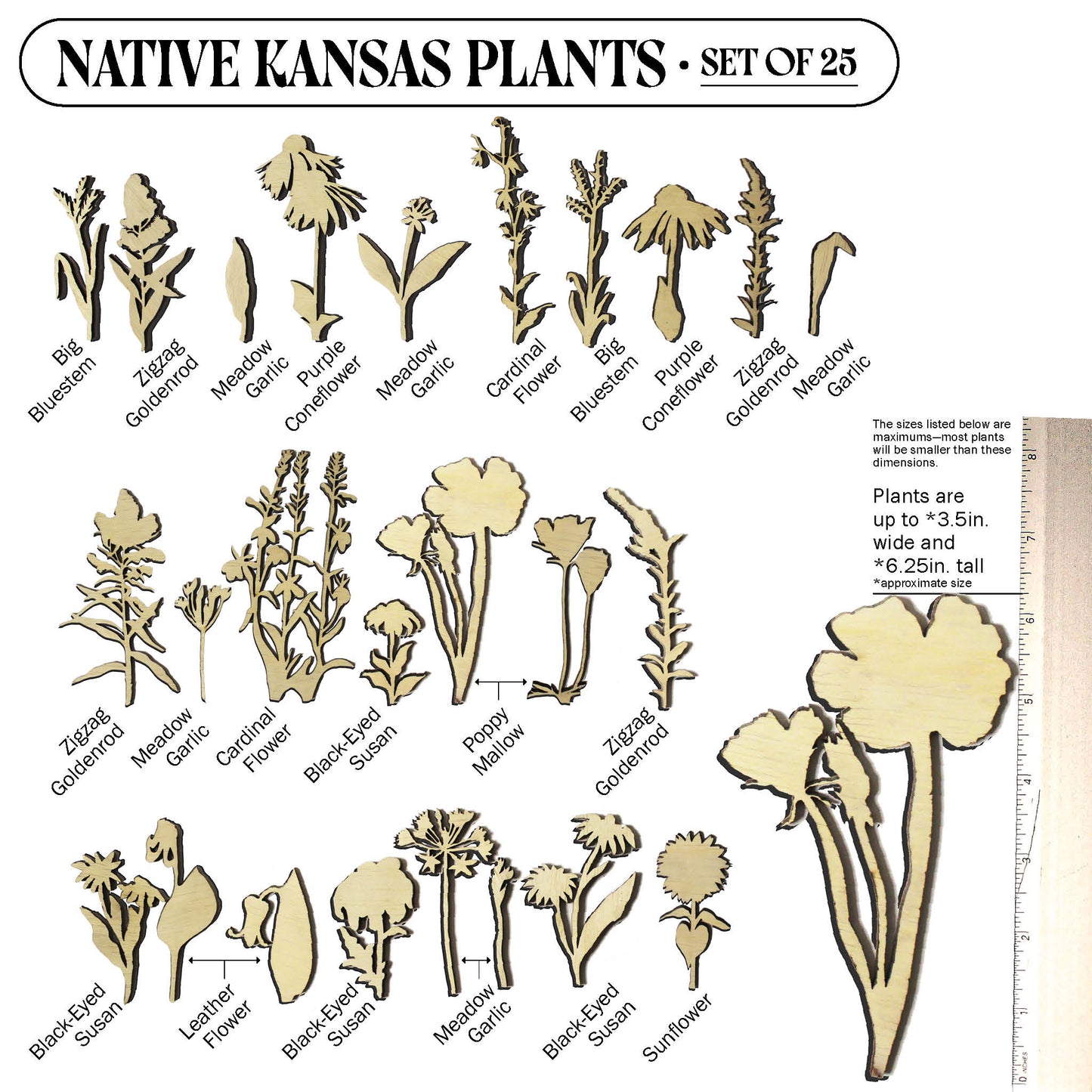 Laser Cut Wooden Kansas Native Plants