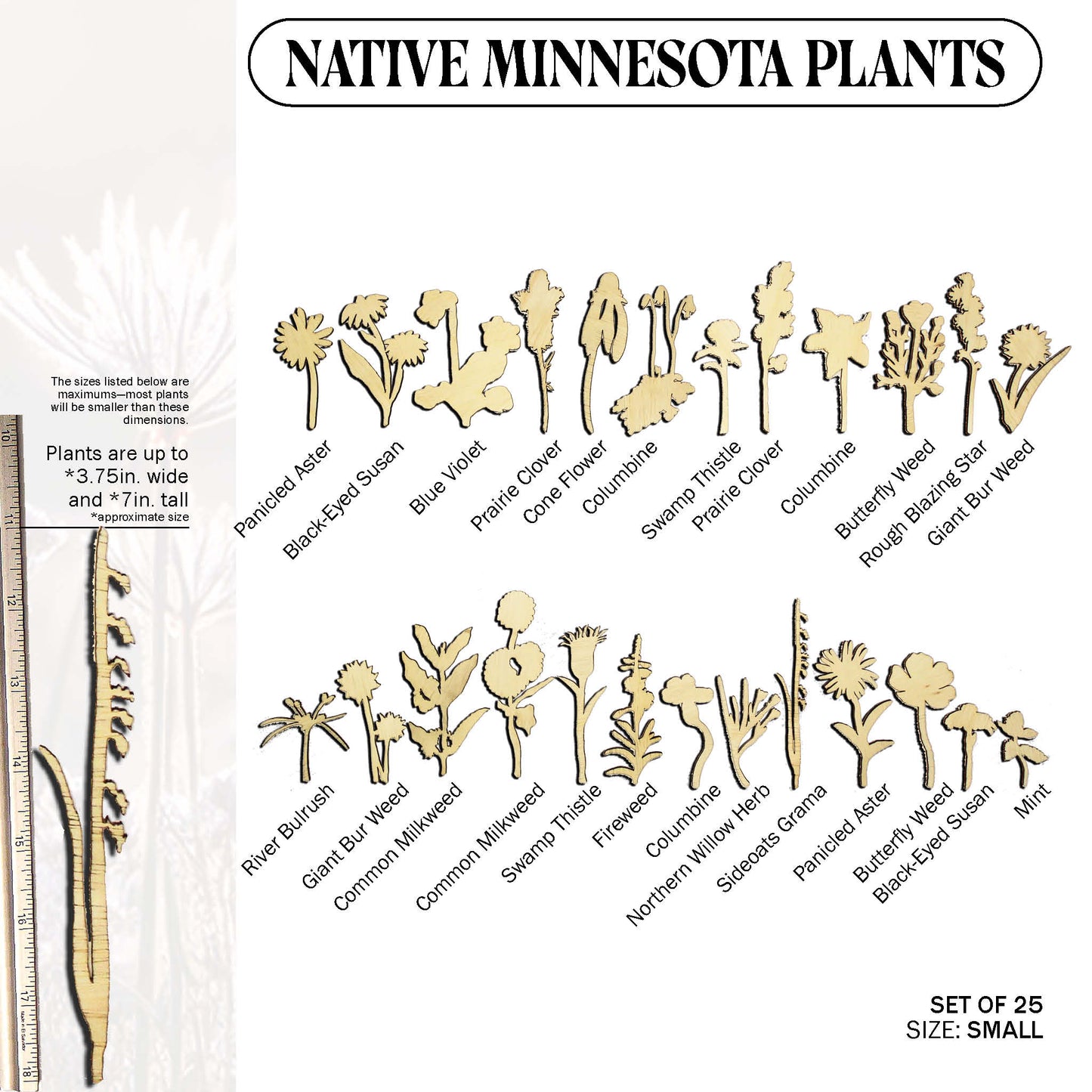 Laser Cut Wooden Minnesota Native Plants