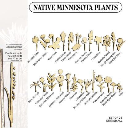 Laser Cut Wooden Minnesota Native Plants