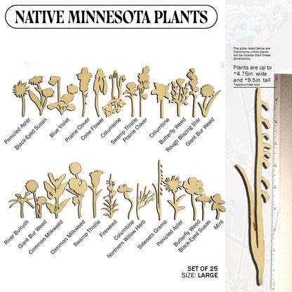 Laser Cut Wooden Minnesota Native Plants