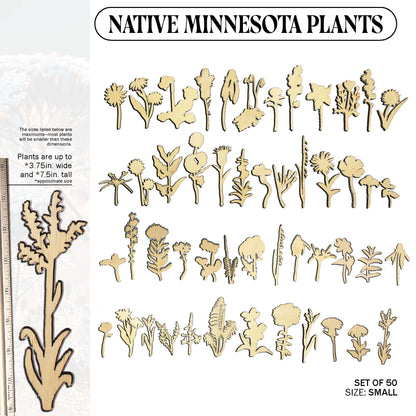 Laser Cut Wooden Minnesota Native Plants