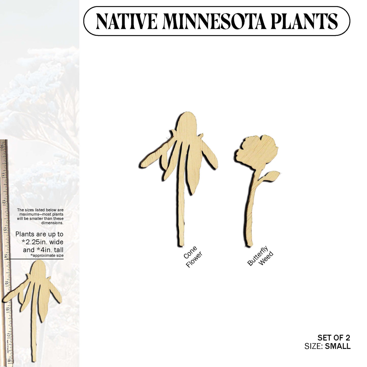 Laser Cut Wooden Minnesota Native Plants
