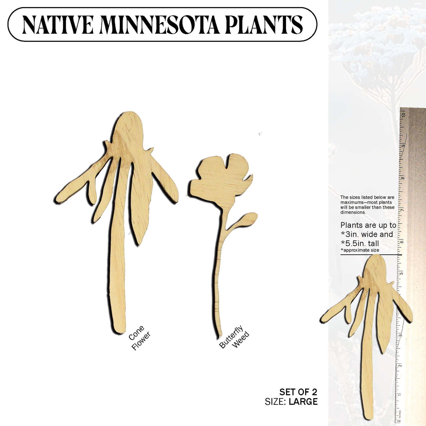 Laser Cut Wooden Minnesota Native Plants