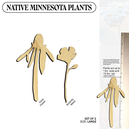 Laser Cut Wooden Minnesota Native Plants