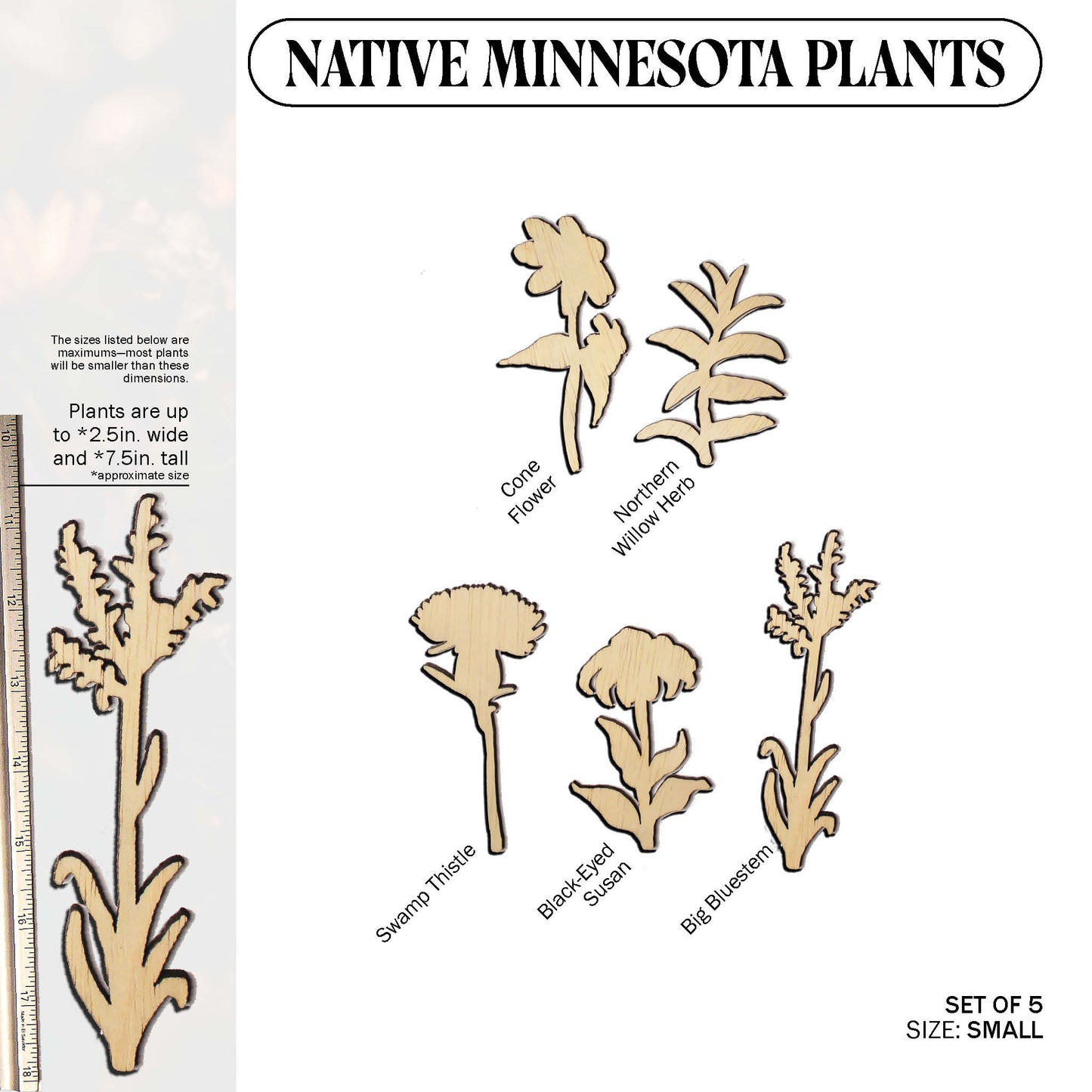 Laser Cut Wooden Minnesota Native Plants