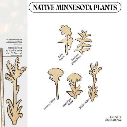Laser Cut Wooden Minnesota Native Plants