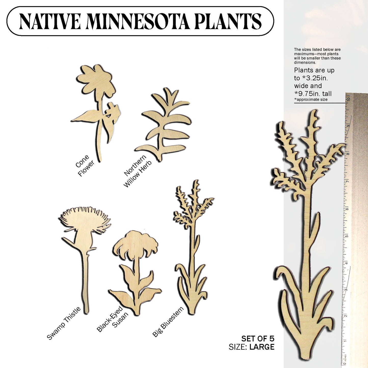 Laser Cut Wooden Minnesota Native Plants