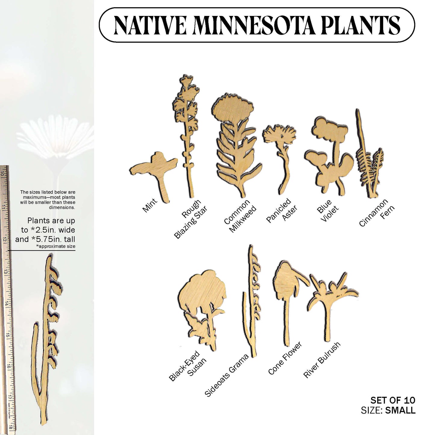 Laser Cut Wooden Minnesota Native Plants