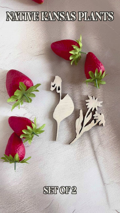 Laser Cut Wooden Kansas Native Plants